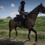 American-Standardbred2