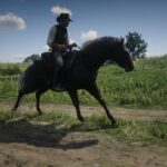 American-Standardbred4