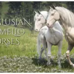 Andalusian-Cremello-Horses-scaled-1