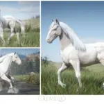 Andalusian-Cremello-Horses4-scaled-1