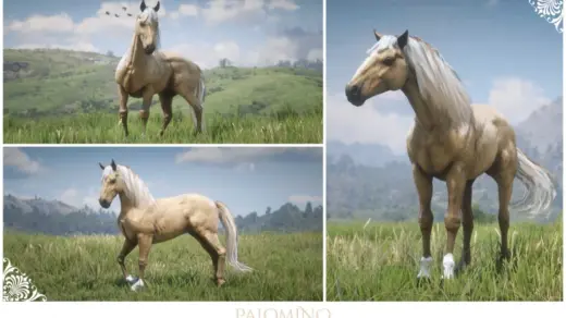 Andalusian-Palomino-Horses-1024x625-1
