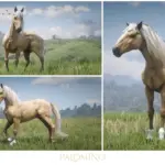 Andalusian-Palomino-Horses-scaled-1