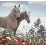 Andalusian-Palomino-Horses2-scaled-1