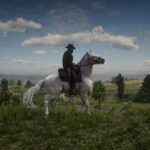 Andalusians4