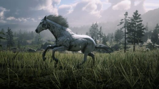 Appaloosa2-1024x576-1