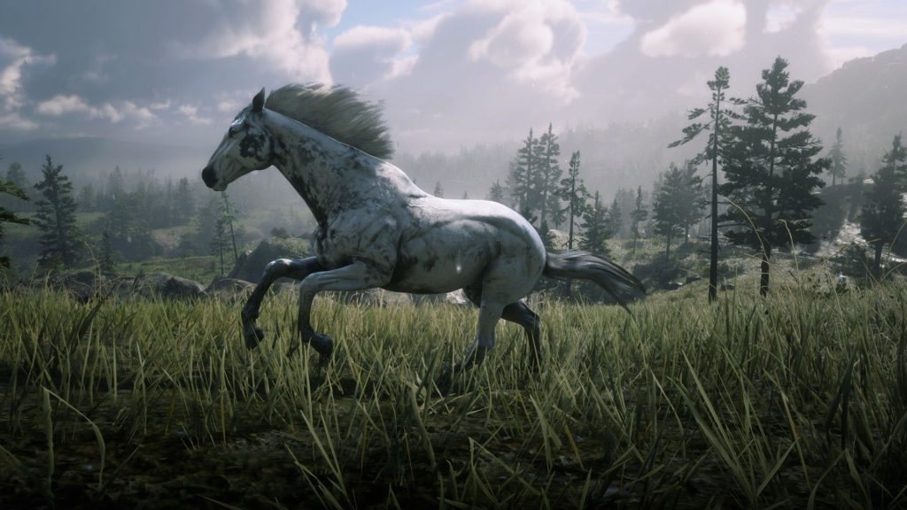 Appaloosa
