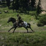 Appaloosa5