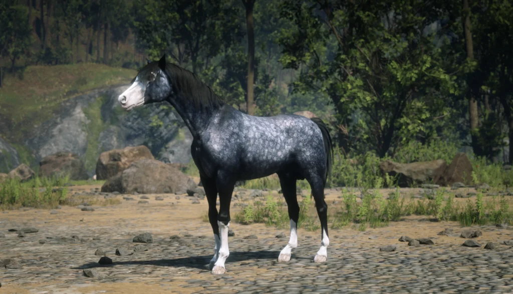 Arabian Coats V1.0