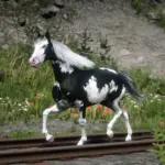 Arabian-Coats2-scaled-1