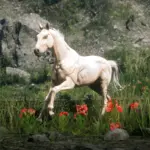 Arabian-Coats4-scaled-1