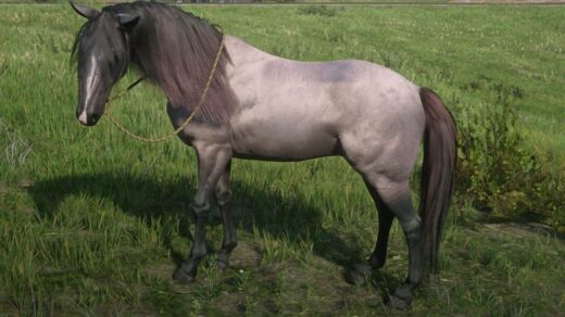 Arabian-Redemption-1024x679-1