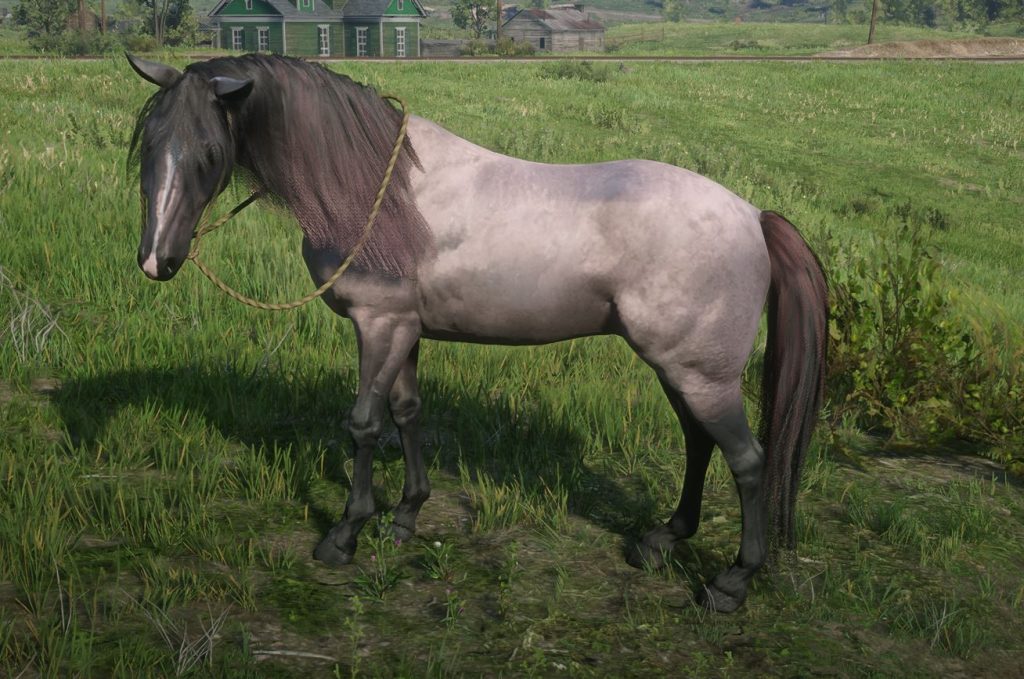 Arabian Redemption