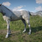 Arabian-Redemption2