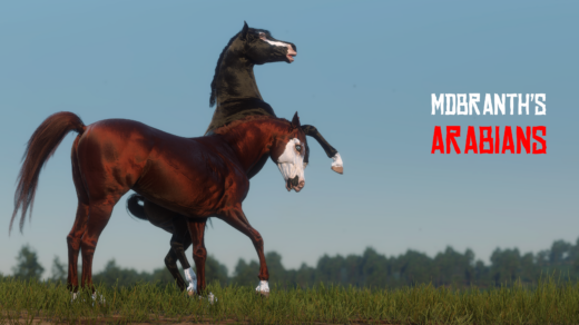 Arabians