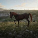 Arabians2