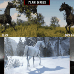 Arabians2