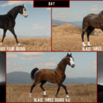 Arabians3