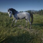 Arabians4