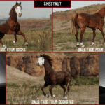 Arabians4