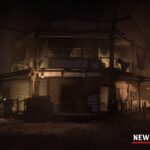 Armadillo-Restoration-Community-Project2
