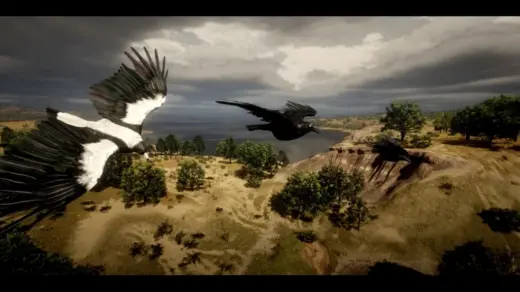Australian-Magpie-and-Raven-1024x576-1