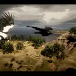 Australian-Magpie-and-Raven