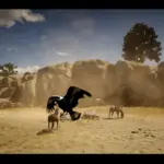 Australian-Magpie-and-Raven3