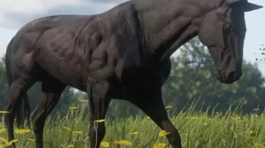 Automatic-Health-and-Stamina-Core-Regeneration-for-Horse-1per-Second