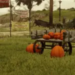 Autumn-Great-Plains3