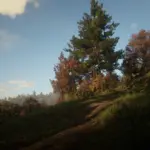 Autumn-Vegetation2