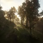 Autumn-Vegetation4