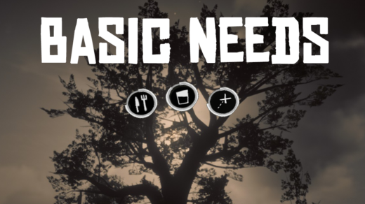 Basic-Needs