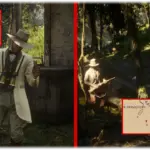 Beta-Guarma-Restoration-Project3