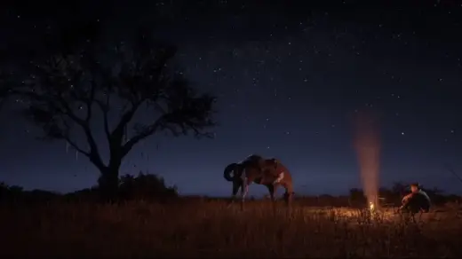 Better-Nights-Vanilla-Days-1-1024x462-1