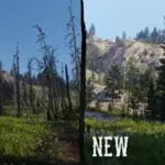Big-Valley-Reforestation-Project2-scaled-1