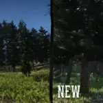 Big-Valley-Reforestation-Project3-scaled-1