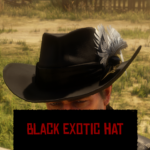 Black-Exotic-Hat