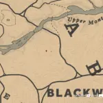 Black-Water-Camp5