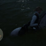 Brave-Horses2