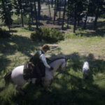 Brave-Horses3