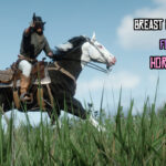 Breast-Collars-for-Horses-scaled-1