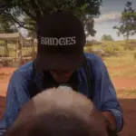 Bridge-cap3