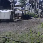 Butcher-Removal-Project2