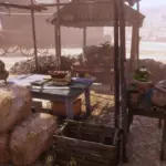 Butcher-Removal-Project4