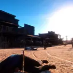 COYOTE RESHADE RDR23