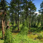 COYOTE RESHADE RDR25