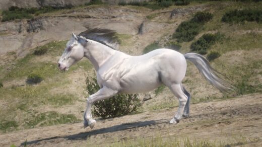 Camargue-Horse-1024x576-1