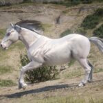 Camargue-Horse