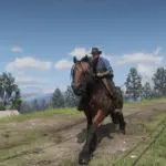 Canter4