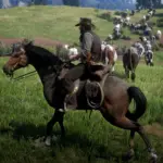 Cattle-Herding-V35